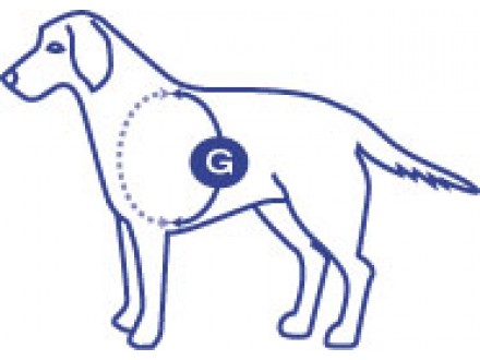 easy_walk_dog_girth_measure (1)