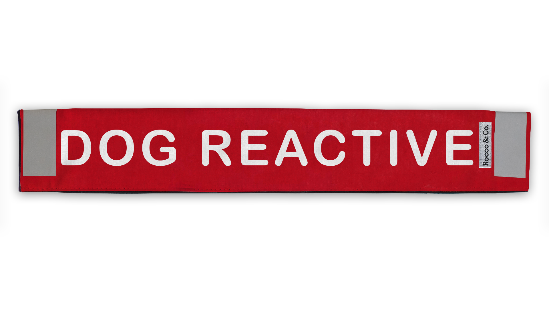 0c103e_3498ec08836c492a9ac2ff23f16ea1a0_mv2