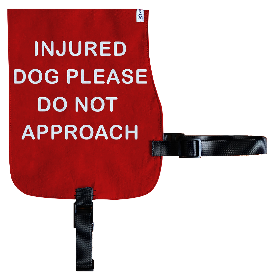 0c103e_3fa6ae11c6e7436883a8790b691031a5_mv2