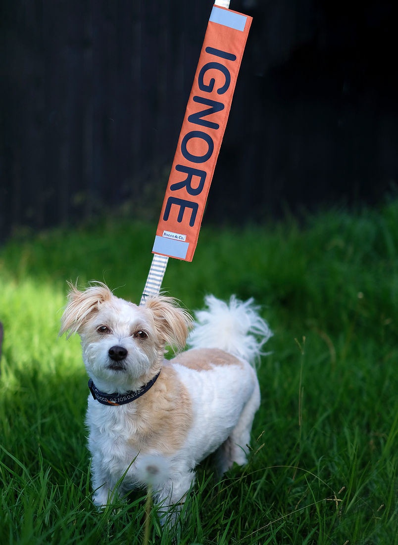 0c103e_75890130c8044600a72e7154d9f45f3d_mv2