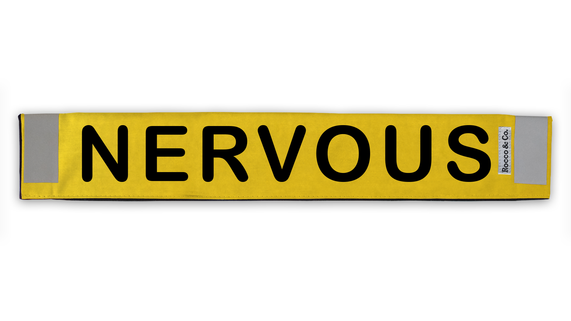 0c103e_8aad9a399f804f86bb31cf21eb35246a_mv2