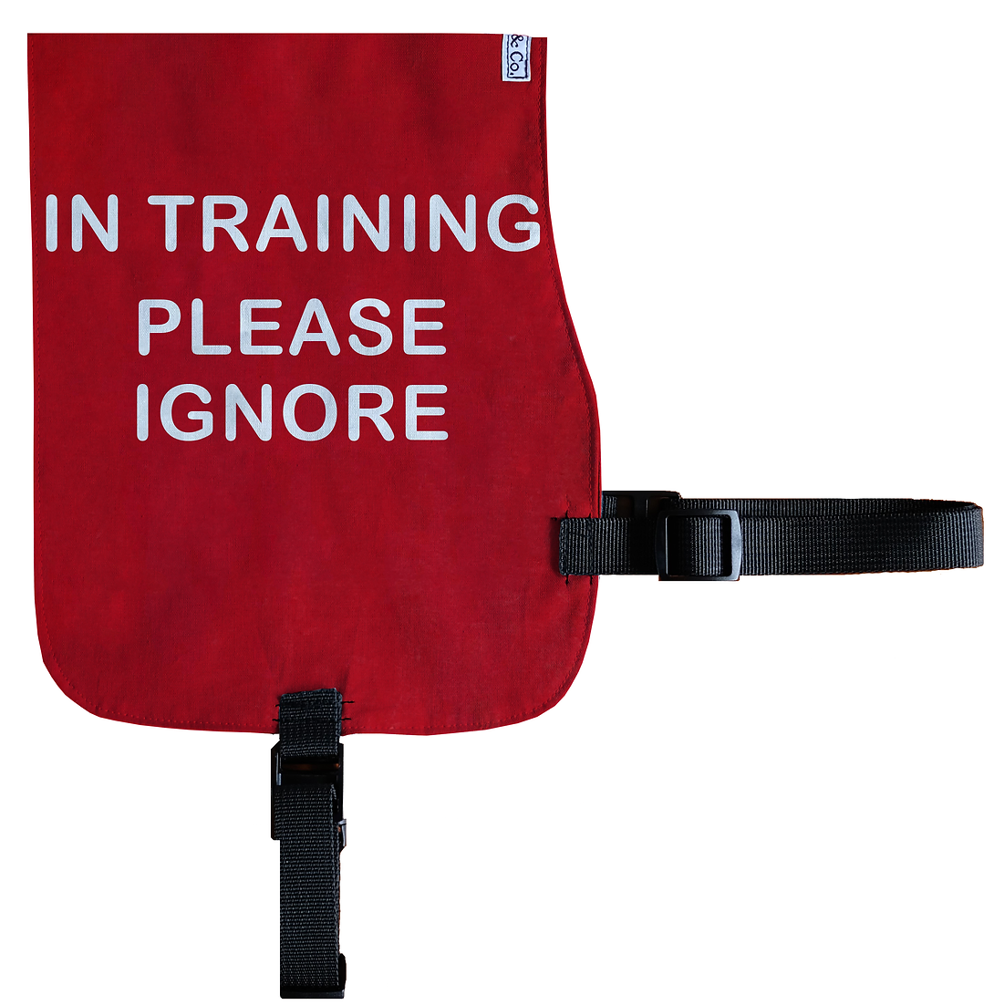 0c103e_97c10ca5a99c4de8852a07a1e0155128_mv2