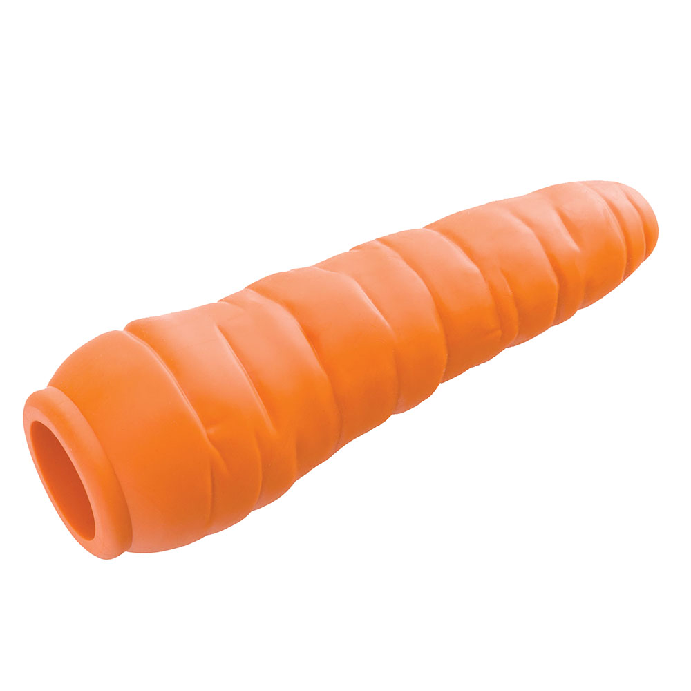 Carrot_main-1